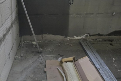 Perlinka s lepidlem 2